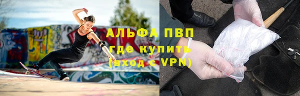 гашик Аркадак