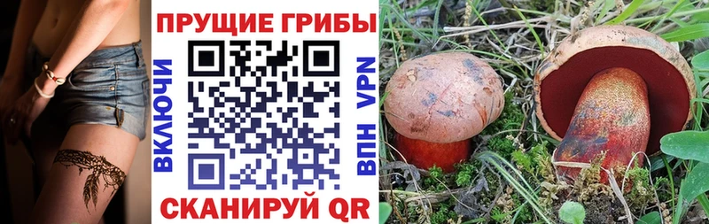 Галлюциногенные грибы Psilocybine cubensis  как найти закладки  hydra зеркало  Старая Купавна 