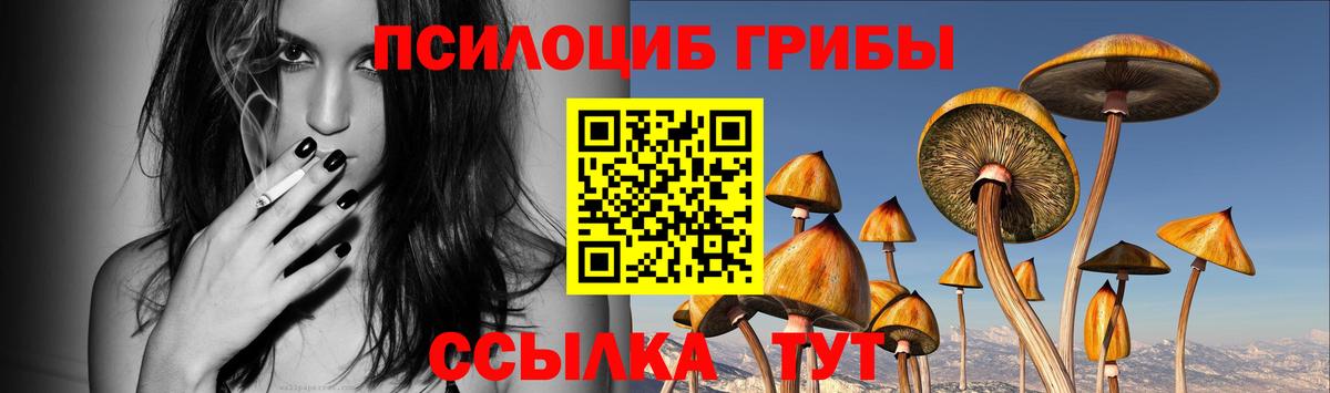 Псилоцибиновые грибы GOLDEN TEACHER Старая Купавна